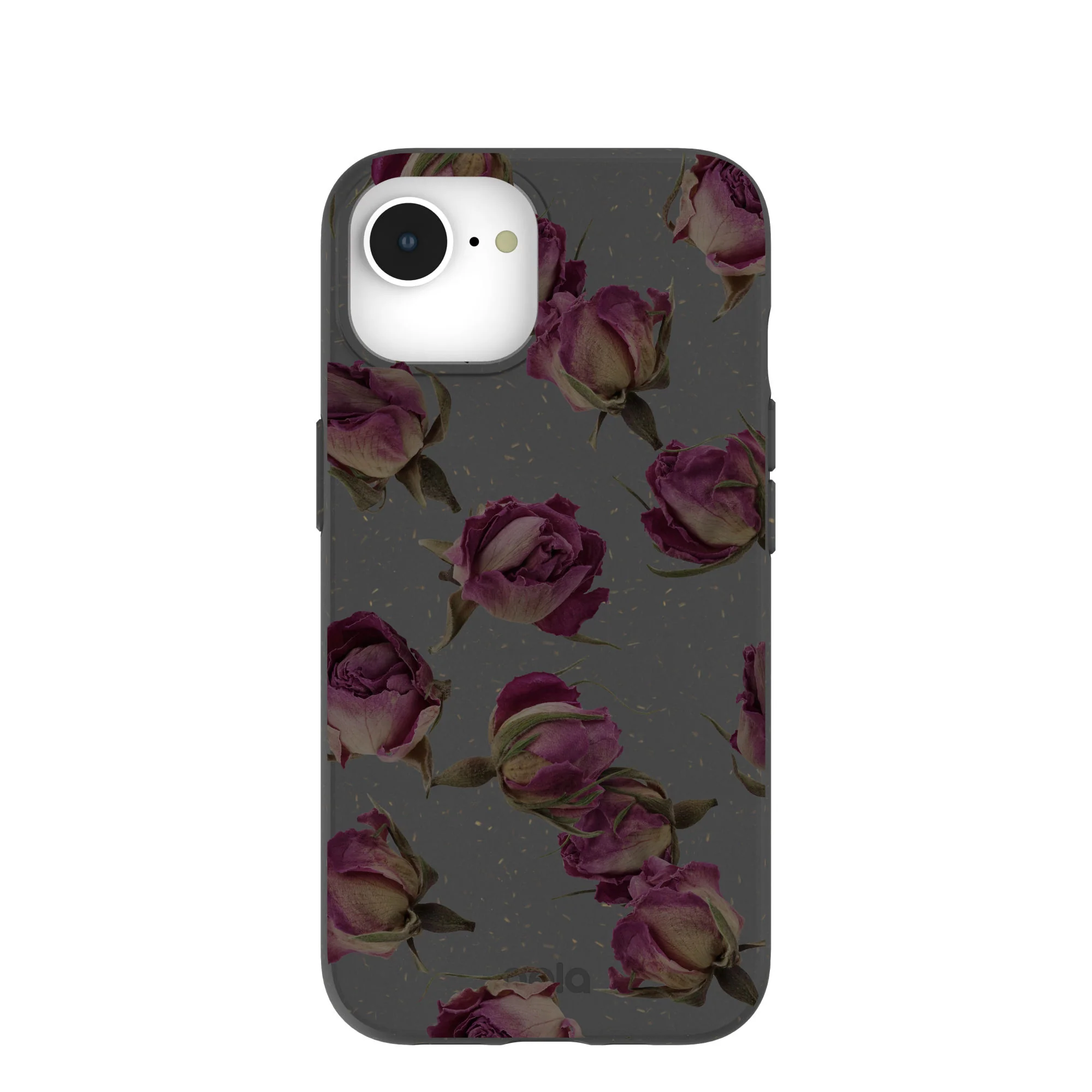 Black Dried Rosebuds iPhone 16e/17e Case