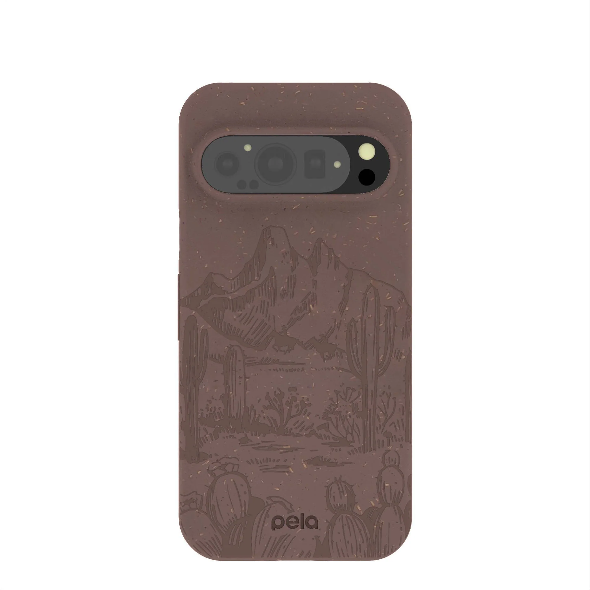 Chocolate Brown Desert Run Google Pixel 9/9 Pro Case