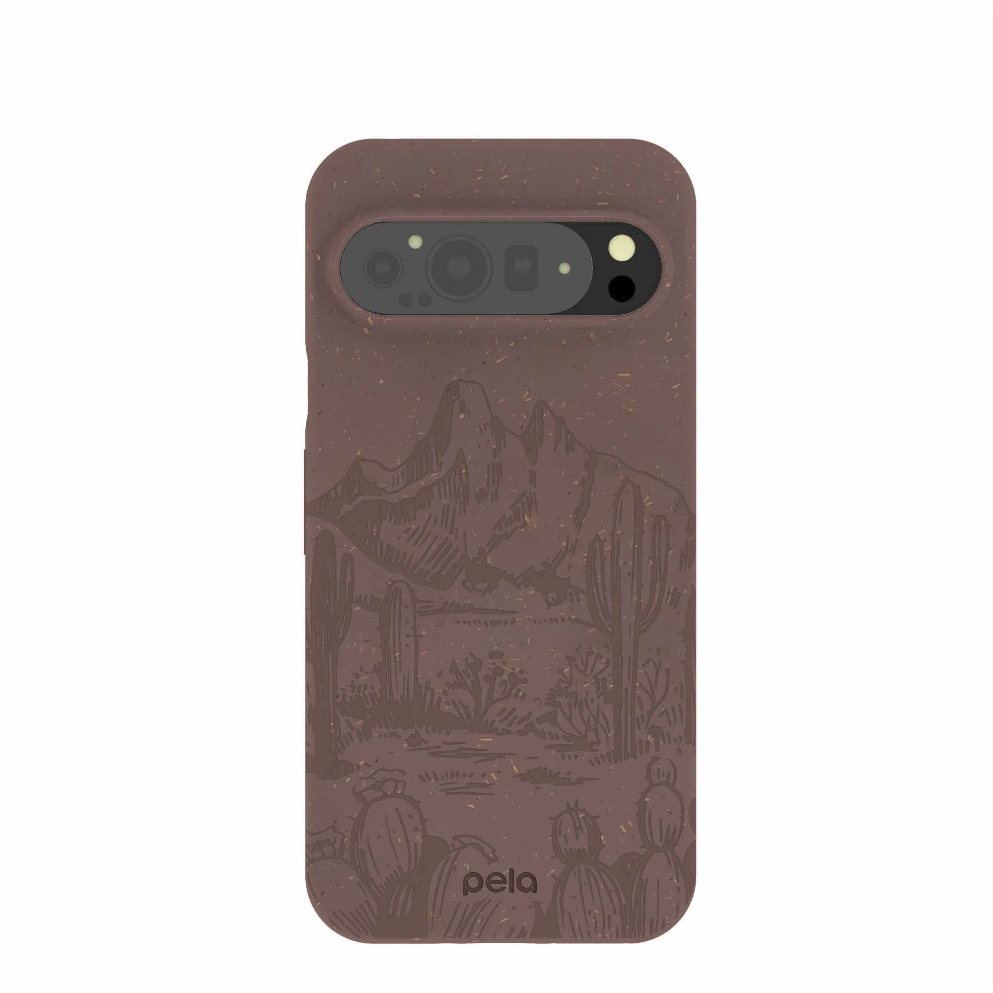 Chocolate Brown Desert Run Google Pixel 9 Pro XL Case