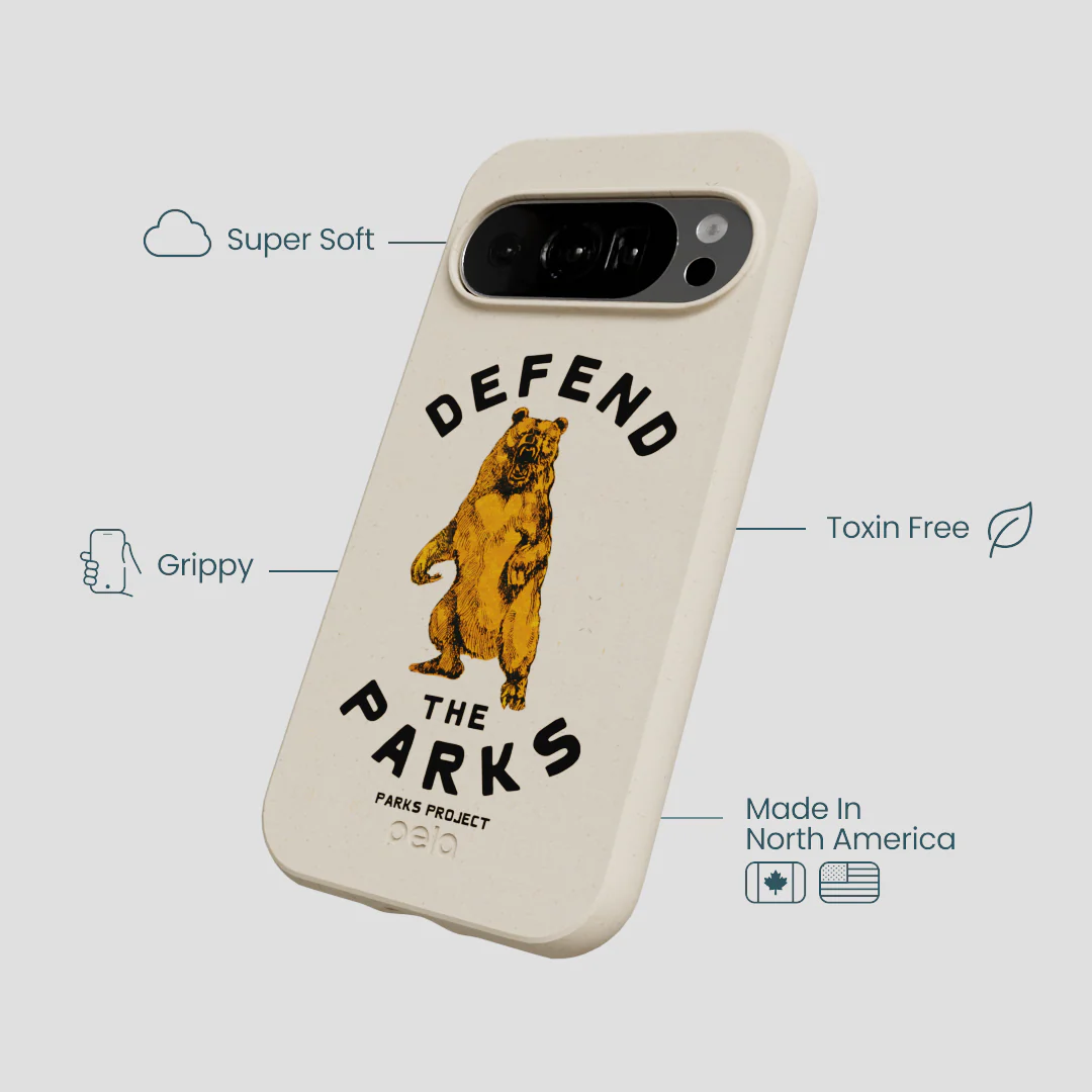 London Fog Defend the Parks Google Pixel 10/10 Pro Case - Image 3