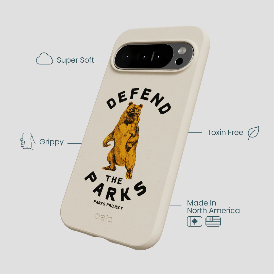 London Fog Defend the Parks Google Pixel 10 Pro XL Case - Image 3