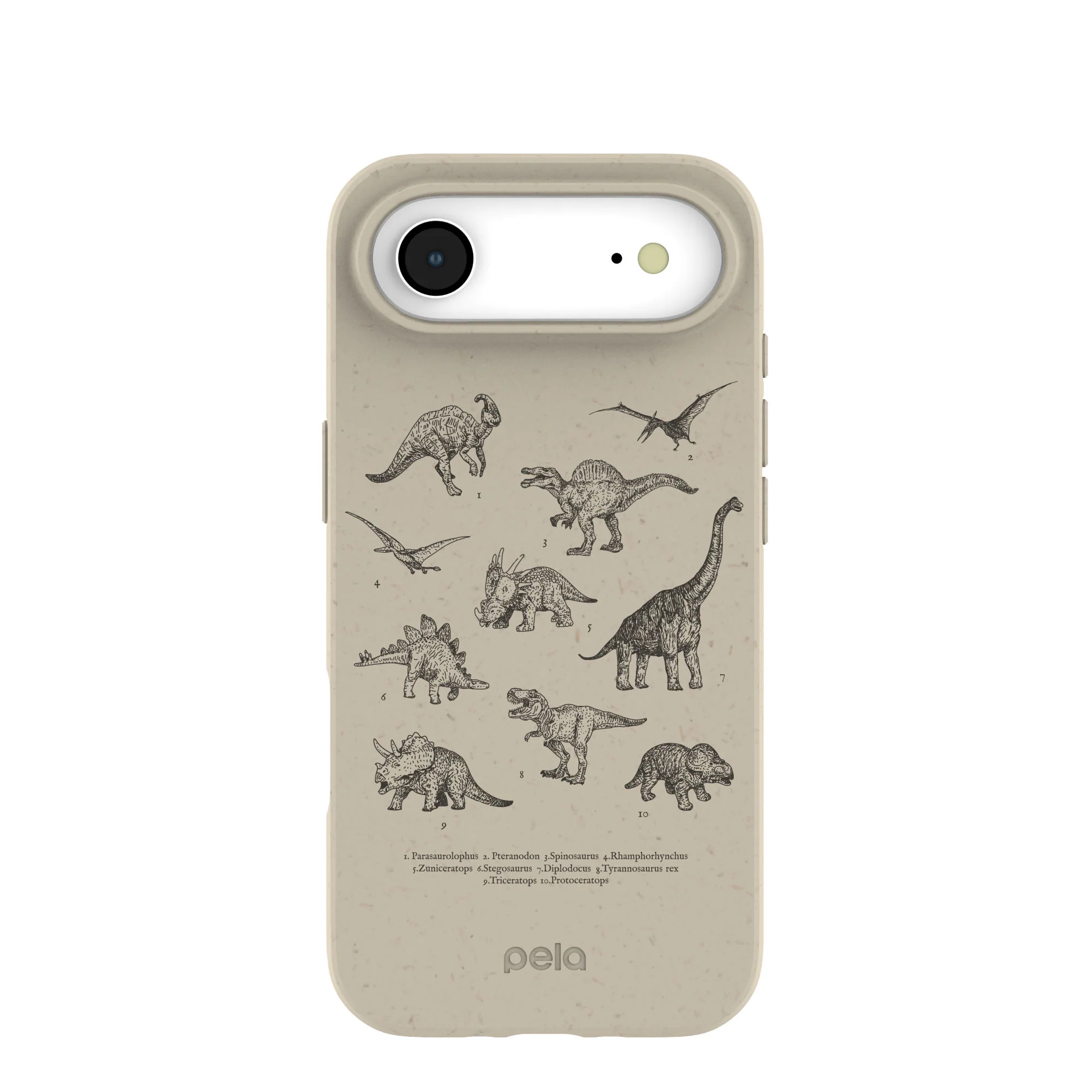 London Fog Dinosaurology iPhone Air Case