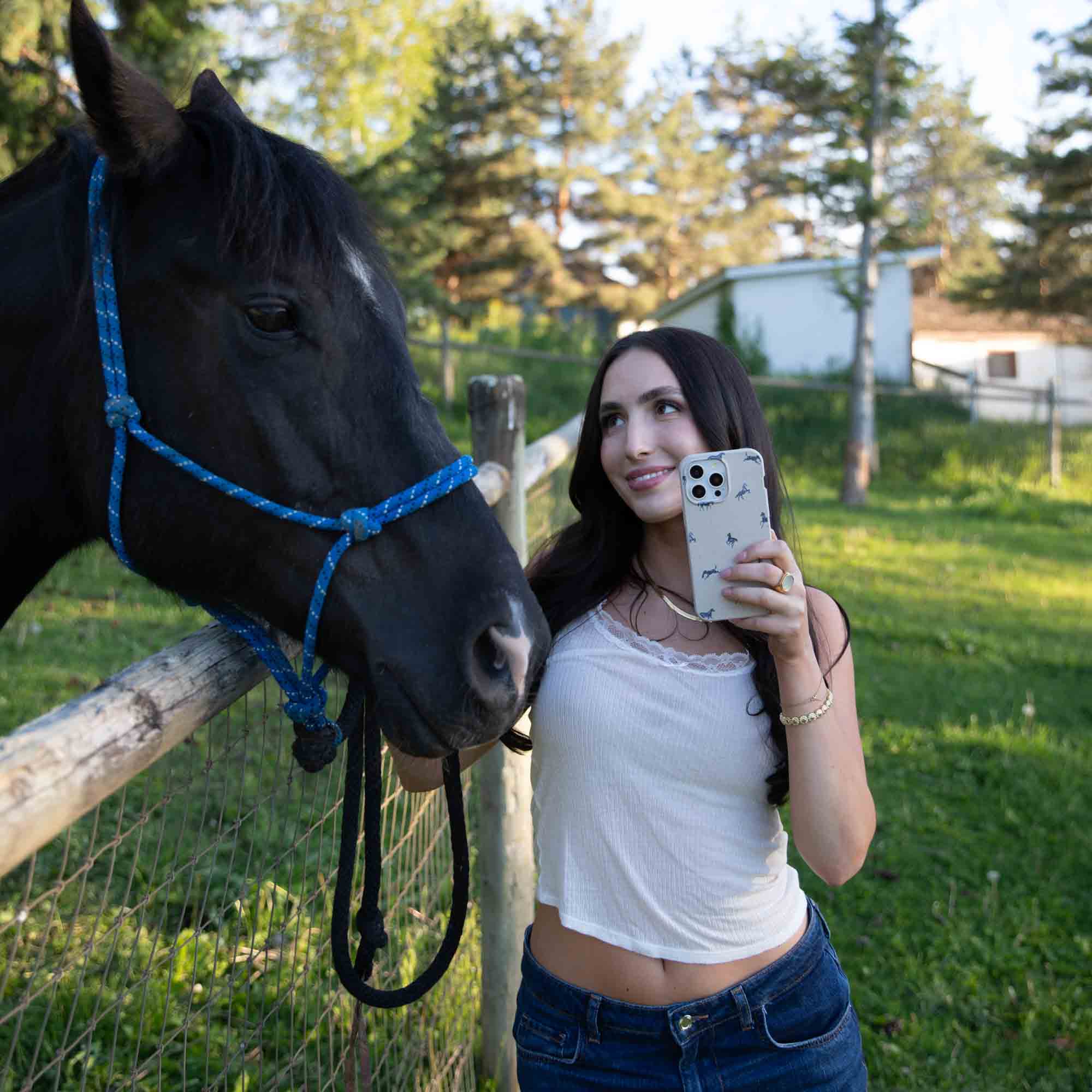 London Fog Mini Horses iPhone 17 Pro Max Case - Image 9