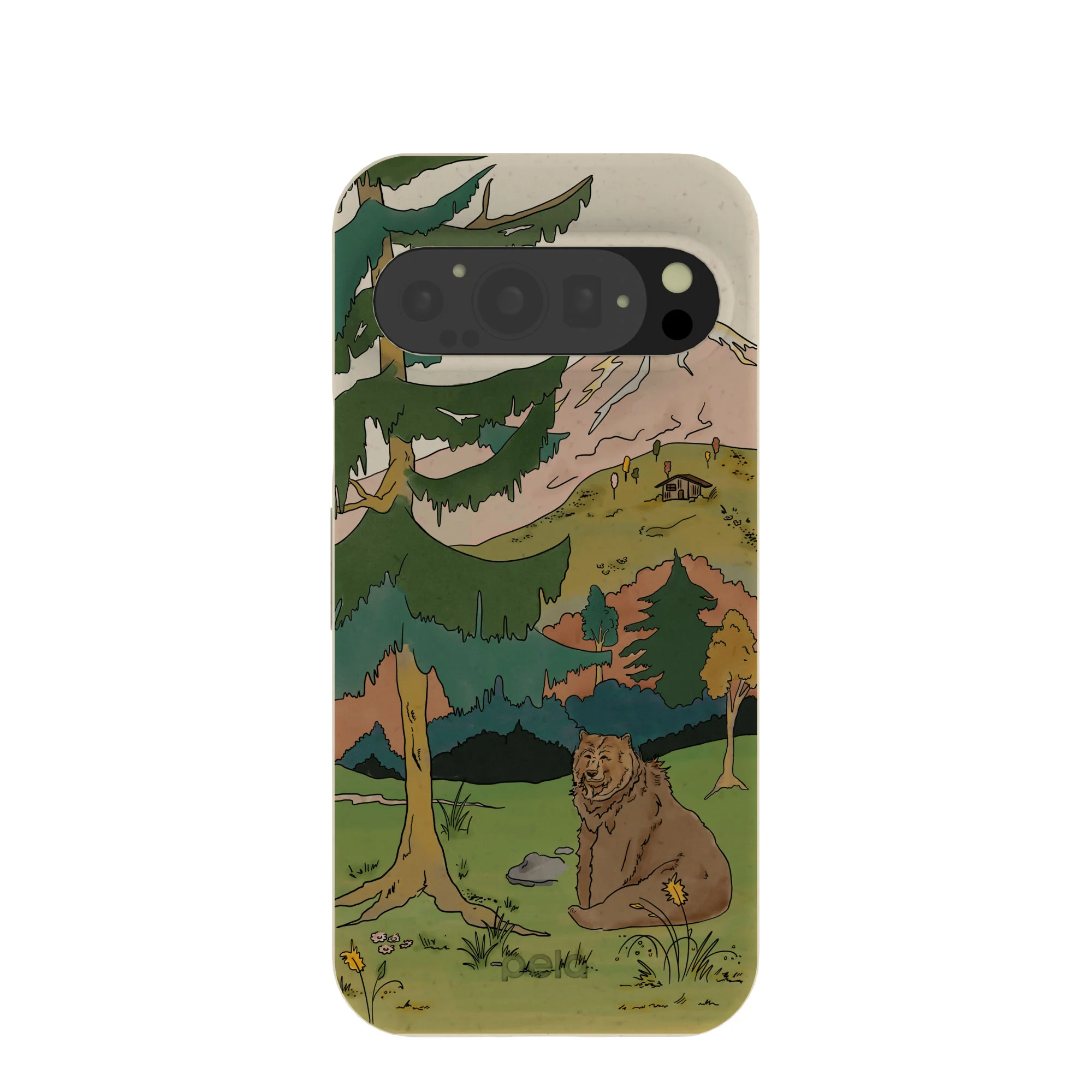 London Fog Rocky Bear Google Pixel 9/9 Pro Case