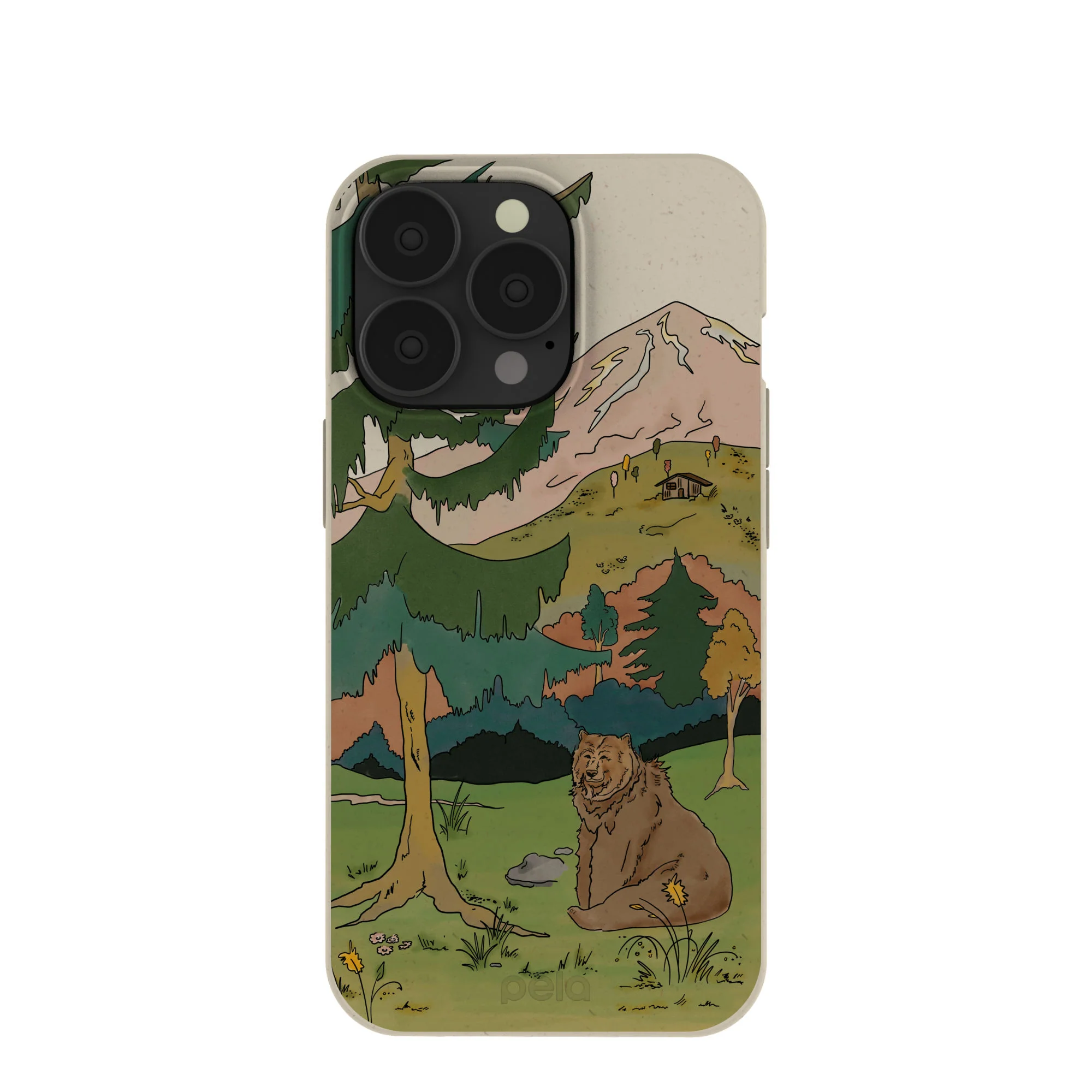 London Fog Rocky Bear iPhone 13 Pro Case
