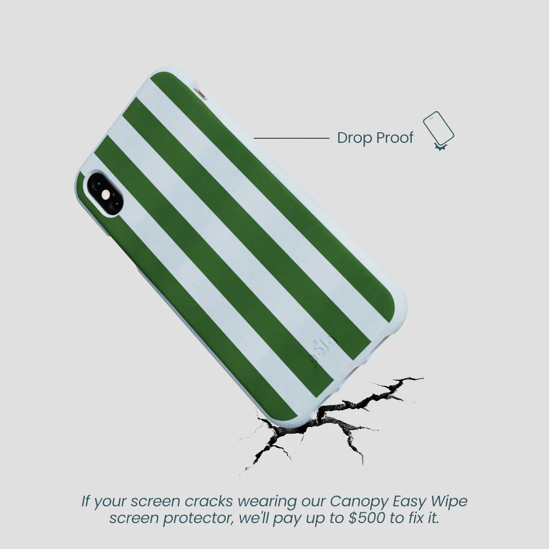 Powder Blue Big Evergreen Stripes iPhone XR Case - Image 5