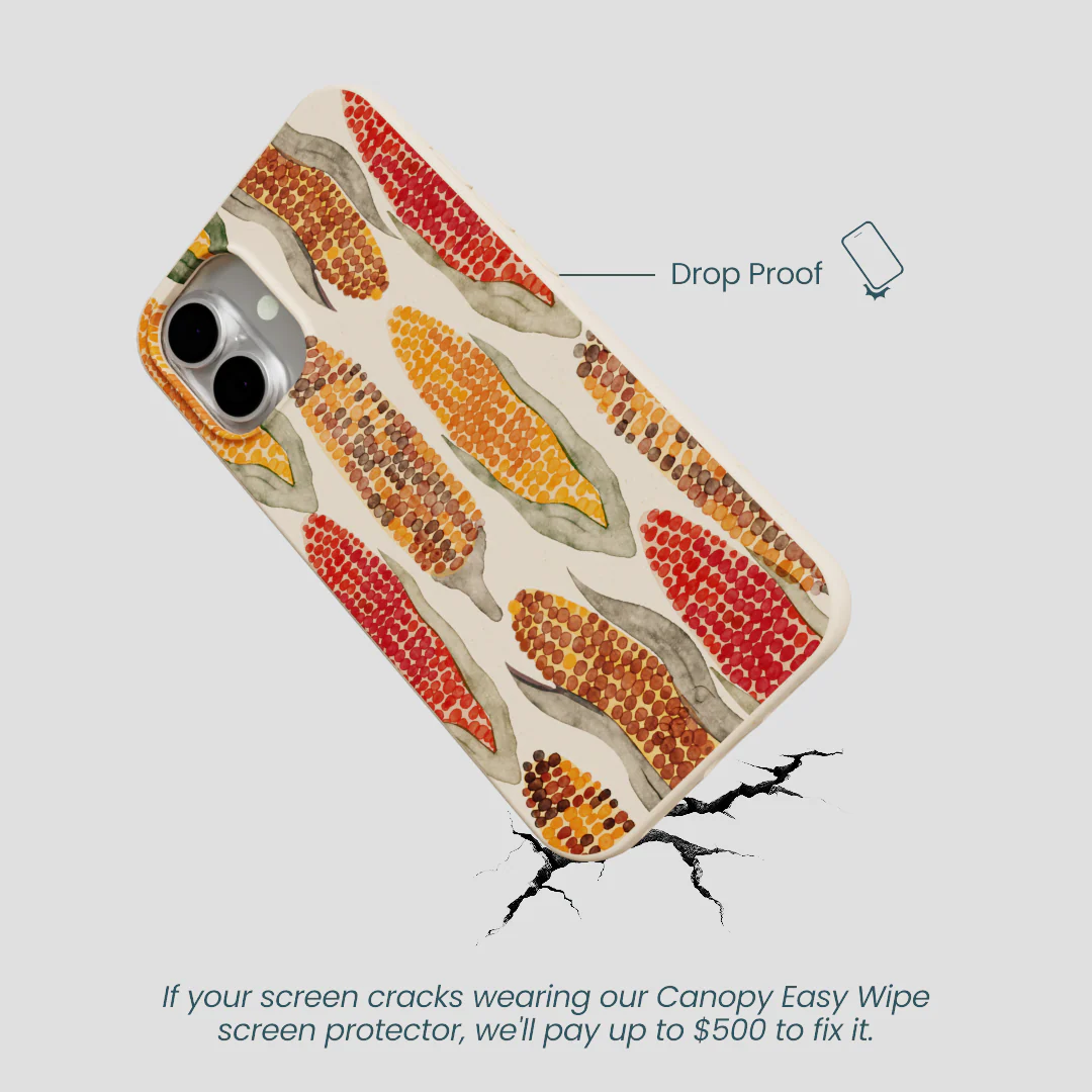 Seashell Cornfield iPhone 16 Plus Case - Image 5