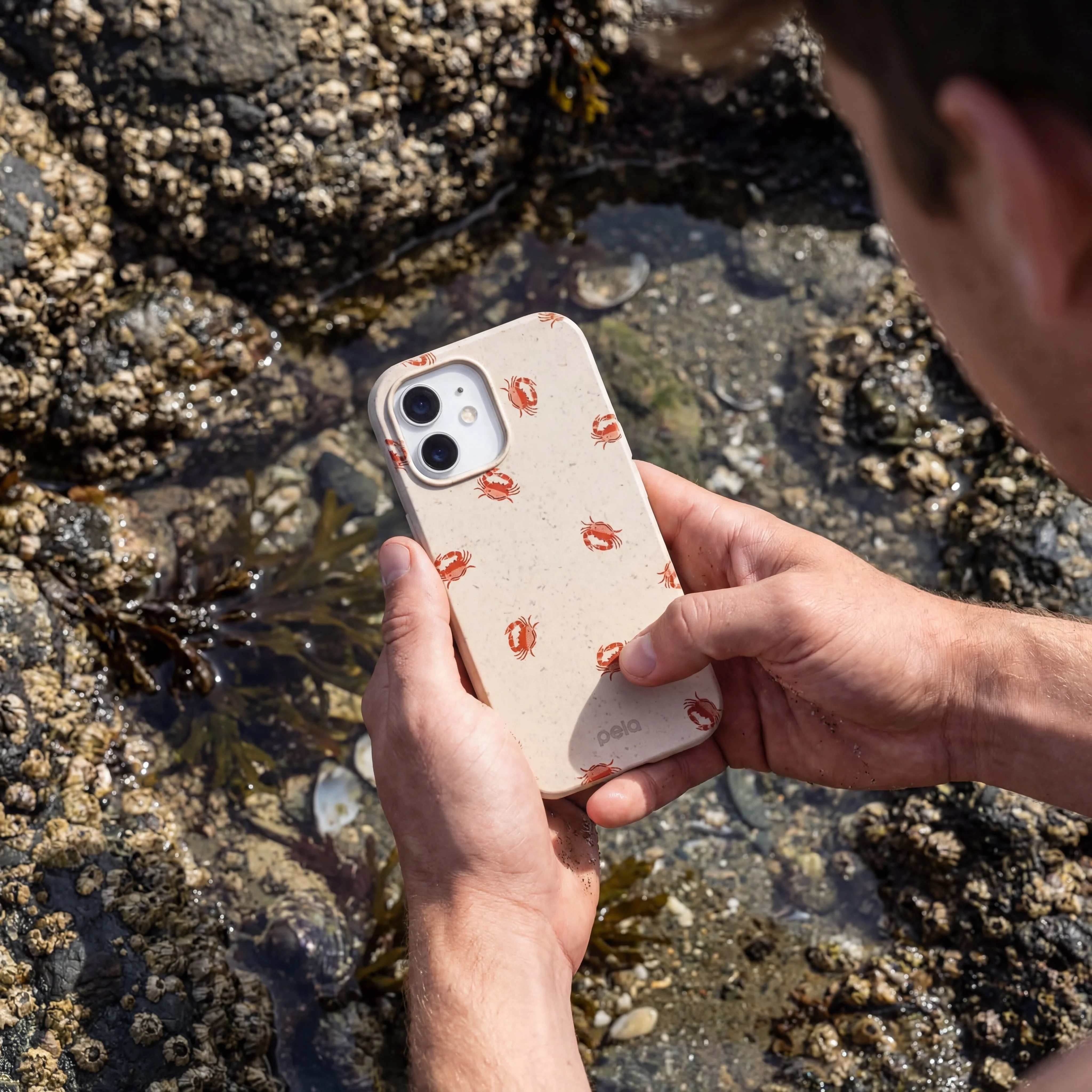 Seashell Lil Crabby iPhone 17 Pro Case - Image 2