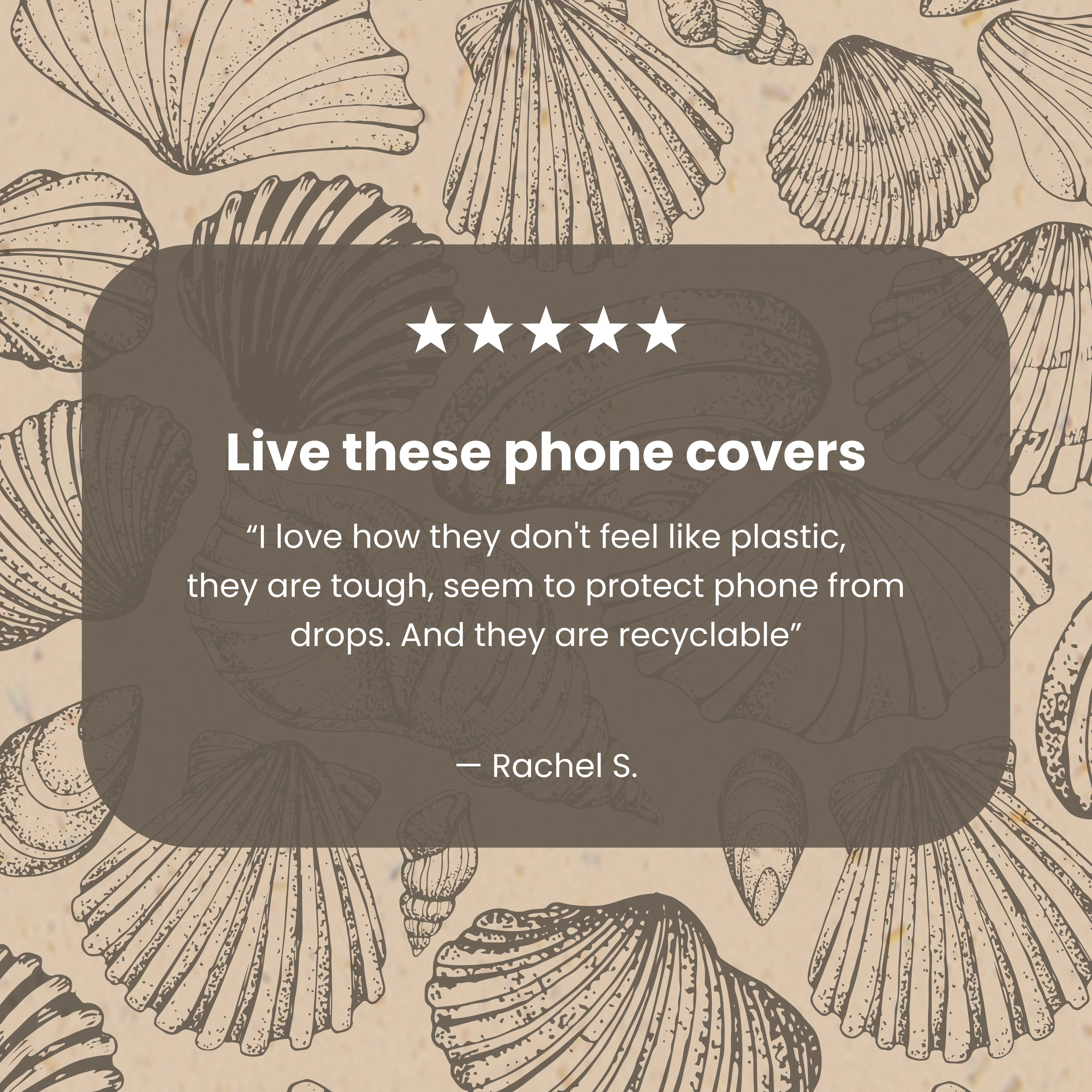 Seashell Seashore iPhone Air Case - Image 7