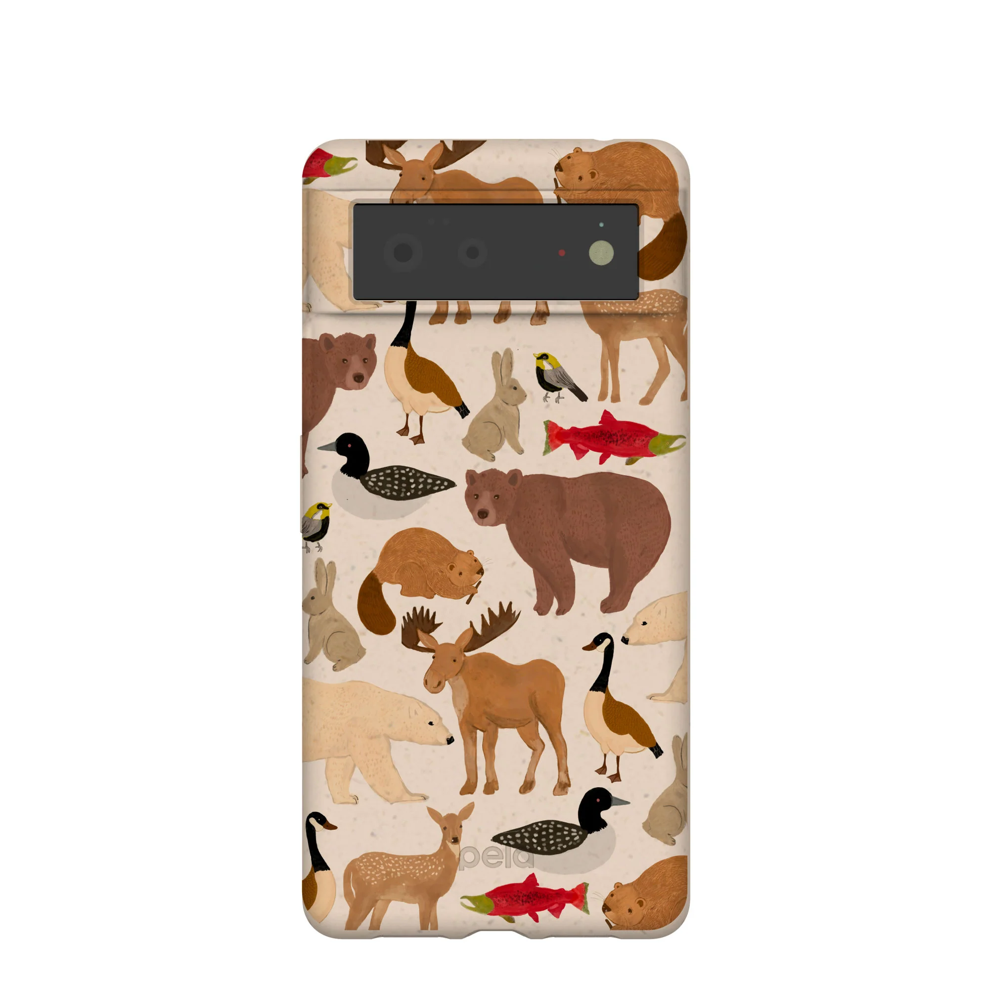 Seashell Wild Canada Google Pixel 6 Case
